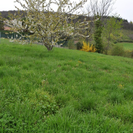  Annonces TASSIN : Terrain | SAINT-DIDIER-AU-MONT-D'OR (69370) | 0 m2 | 620 000 &euro; 