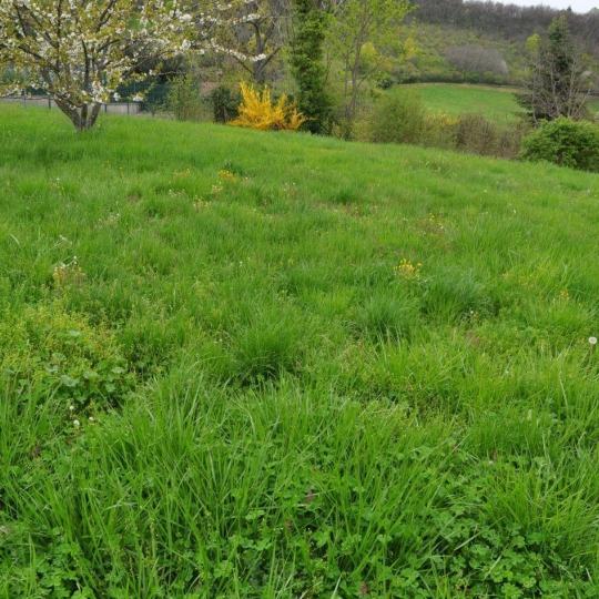 Annonces TASSIN : Terrain | SAINT-DIDIER-AU-MONT-D'OR (69370) | 0 m2 | 620 000 &euro; 