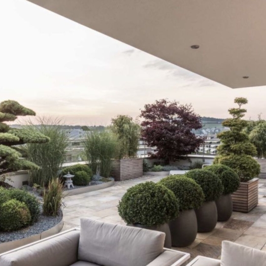  Annonces TASSIN : Apartment | TASSIN-LA-DEMI-LUNE (69160) | 85 m2 | 512 800 &euro; 