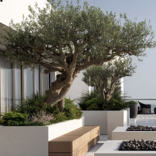 Annonces TASSIN : Appartement | TASSIN-LA-DEMI-LUNE (69160) | 130.00m2 | 815 000 € 