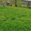  Annonces TASSIN : Terrain | SAINT-DIDIER-AU-MONT-D'OR (69370) | 0 m2 | 620 000 &euro; 