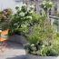  Annonces TASSIN : Appartement | LYON (69003) | 48 m2 | 205 000 &euro; 