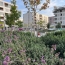  Annonces TASSIN : Appartement | LYON (69003) | 70 m2 | 279 500 &euro; 
