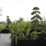  Annonces TASSIN : Apartment | TASSIN-LA-DEMI-LUNE (69160) | 85 m2 | 512 800 &euro; 
