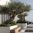  Annonces TASSIN : Appartement | TASSIN-LA-DEMI-LUNE (69160) | 130 m2 | 815 000 &euro; 