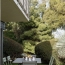  Annonces TASSIN : Appartement | CALUIRE-ET-CUIRE (69300) | 93 m2 | 516 850 &euro; 