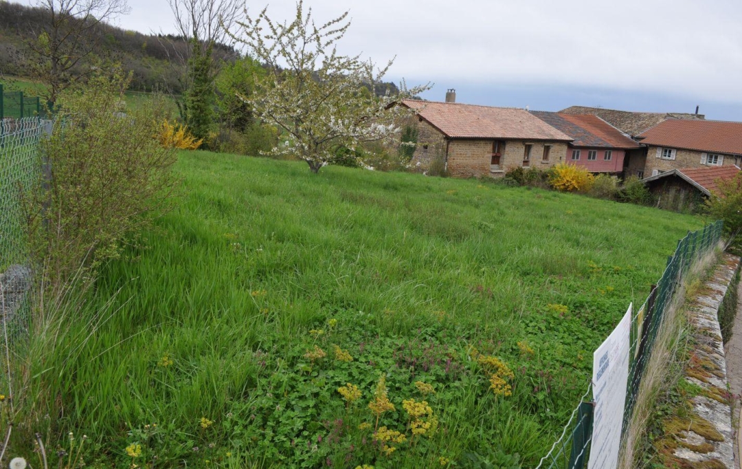 Annonces TASSIN : Terrain | SAINT-DIDIER-AU-MONT-D'OR (69370) | 0 m2 | 620 000 &euro; 
