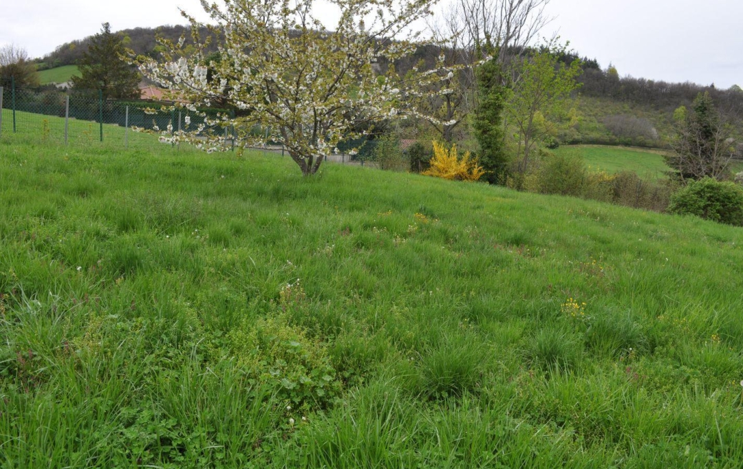 Annonces TASSIN : Terrain | SAINT-DIDIER-AU-MONT-D'OR (69370) | 0 m2 | 620 000 &euro; 