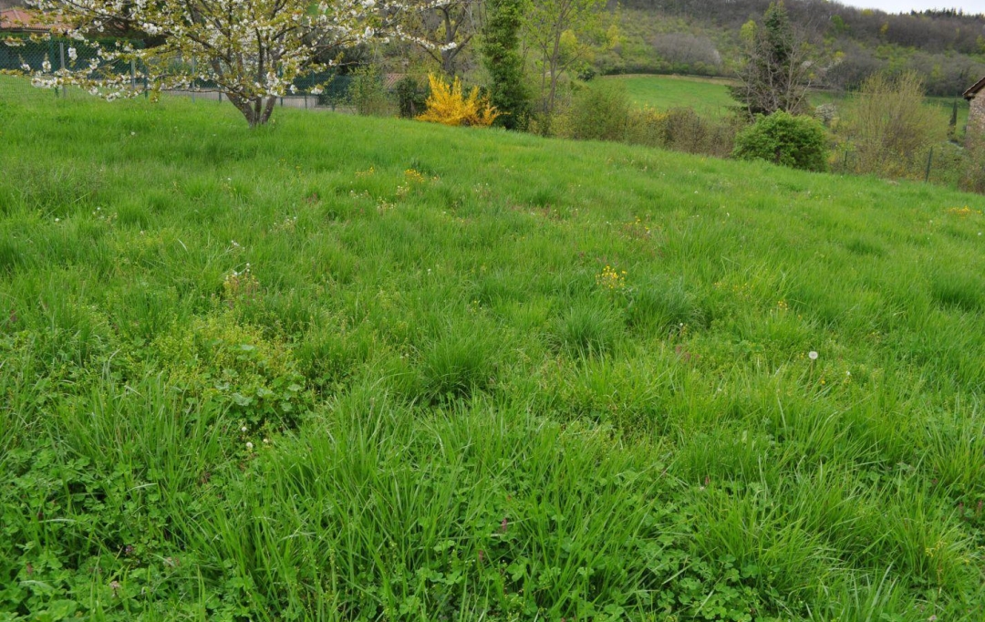 Annonces TASSIN : Terrain | SAINT-DIDIER-AU-MONT-D'OR (69370) | 0 m2 | 620 000 &euro; 