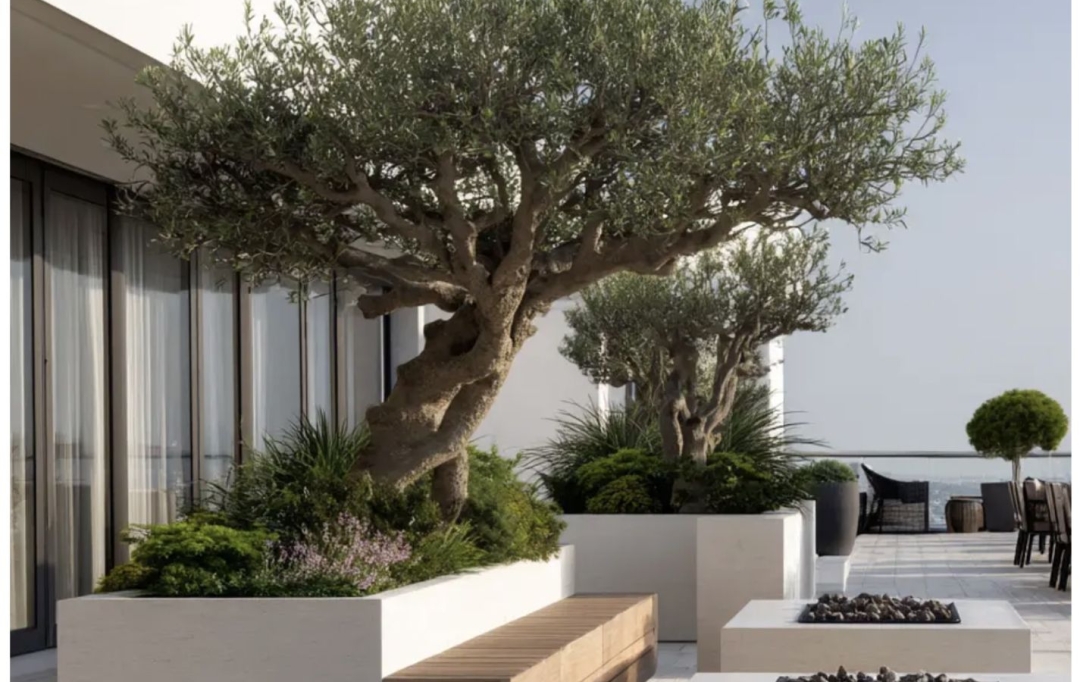 Annonces TASSIN : Appartement | TASSIN-LA-DEMI-LUNE (69160) | 130 m2 | 815 000 &euro; 
