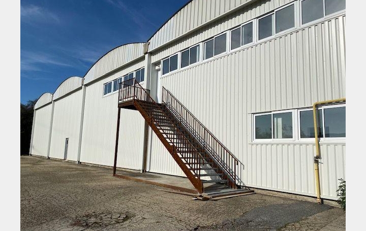 Annonces TASSIN : Local / Bureau | LYON (69001) | 2 600 m2 | 14 613 &euro; 